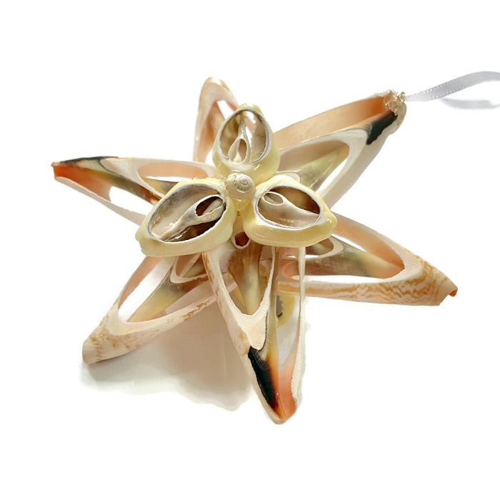 Ornament - Cut Shell Star - Plain Center - SLS
