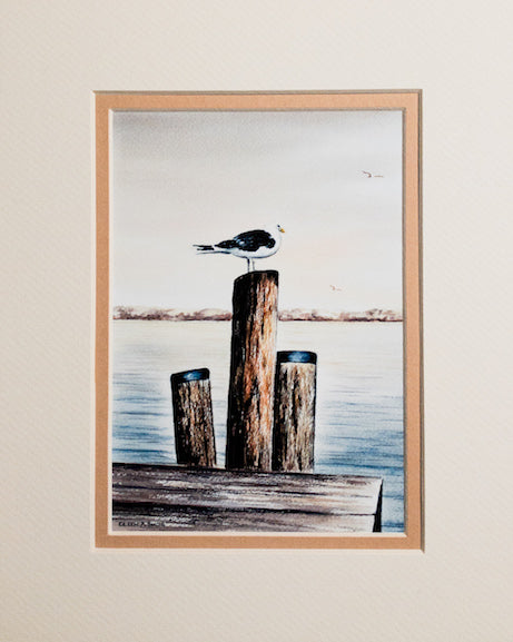 Print - 8x10 - Seagull - Tan Matte