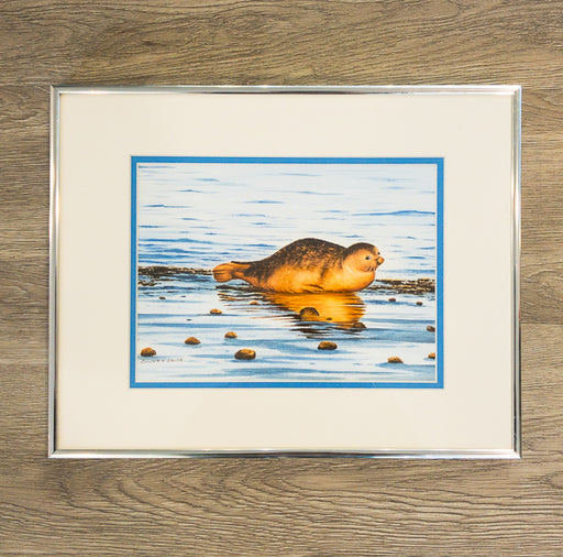 Original - Framed - 11x14 - Watercolor - Monomoy Seal - 96