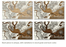 Custom: Engraved Map Dennis Port: Island Oasis / Small (11.25" x 19")