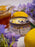 Candle - Nectar: Lilac + Lemon + Honey - 16 oz
