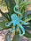 Ornament - Octopus
