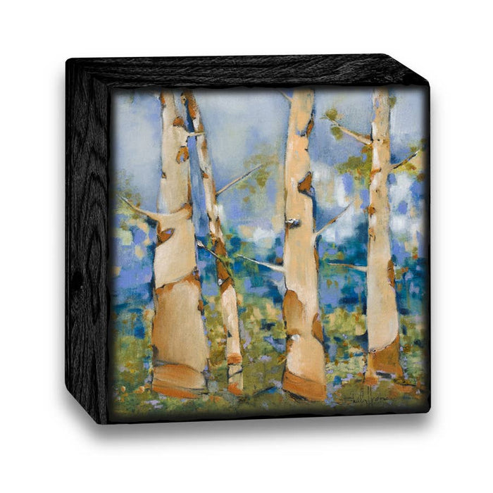 Art Blocks-SH58: 4x4