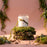 Guaiac Wood & Moss Candle - Medium Glass