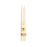 Taper Candles – 100% Pure Beeswax – Hand-Dipped: Ivory / Standard (12" x 7/8")