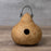 Bird House - Raw Wren - Unfinished - MG