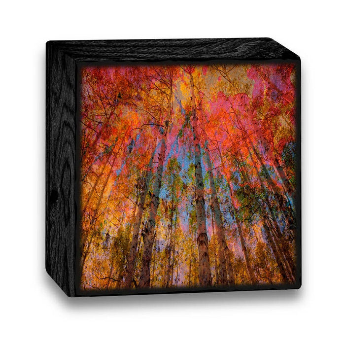 Art Blocks-ME1AB: 4x4