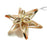 Ornament - Cut Shell Star - Plain Center - SLS