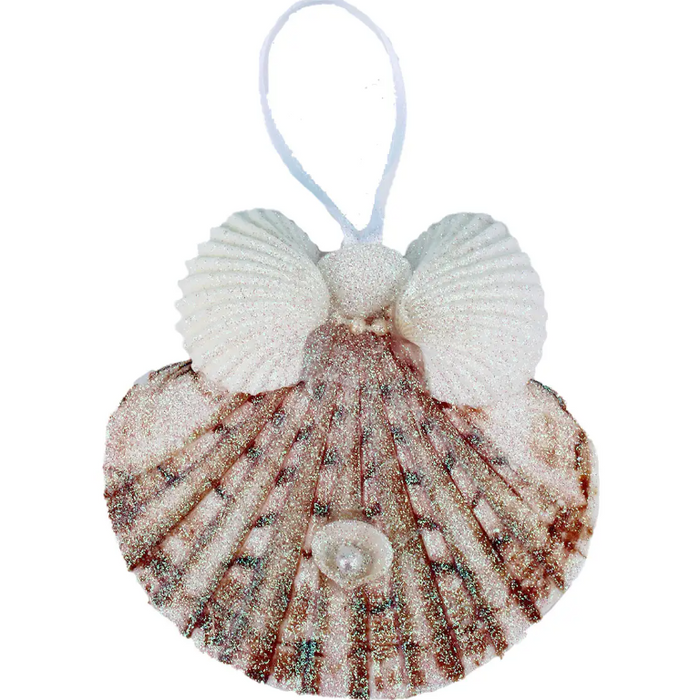 Ornament - Flat Pectin with Arca Wings Seashell Angel