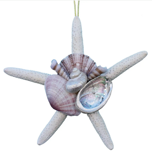 Ornament - White Finger Starfish Collage