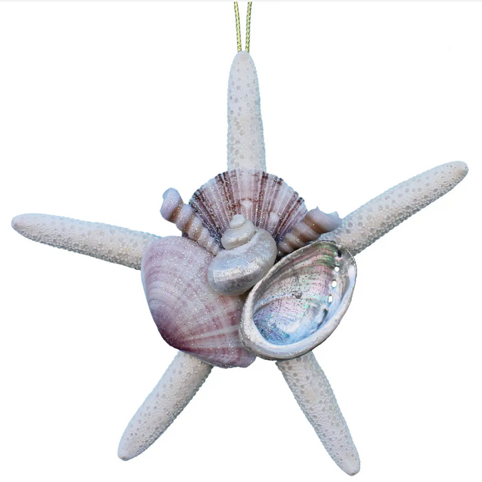 Ornament - White Finger Starfish Collage