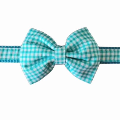 Dog Collar - Aqua - Bow Tie - Medium