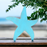 Rustic Wood Starfish - Turquoise - Small