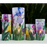 eKandle Kuff - Large - Iris