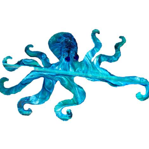 Octopus - Medium - Blue/Green