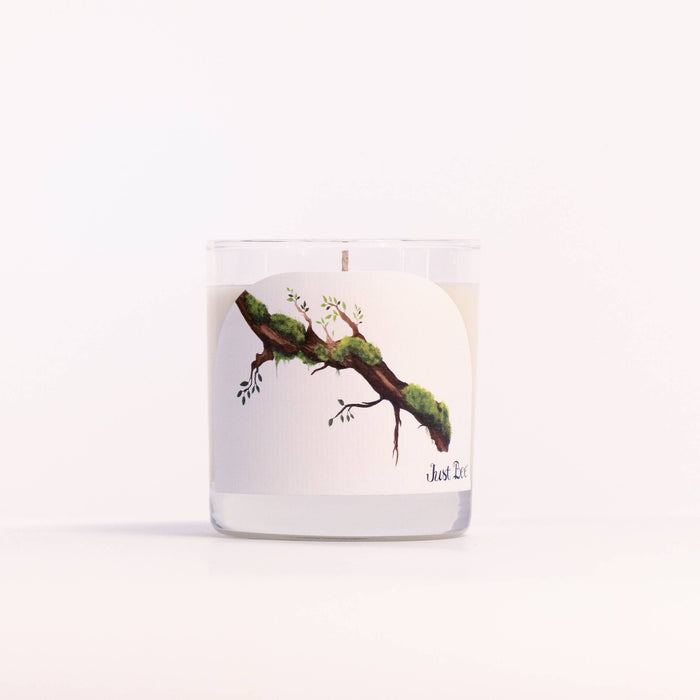 Guaiac Wood & Moss Candle - Medium Glass