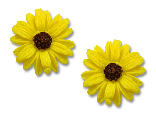 Yellow & Brown Sunflower