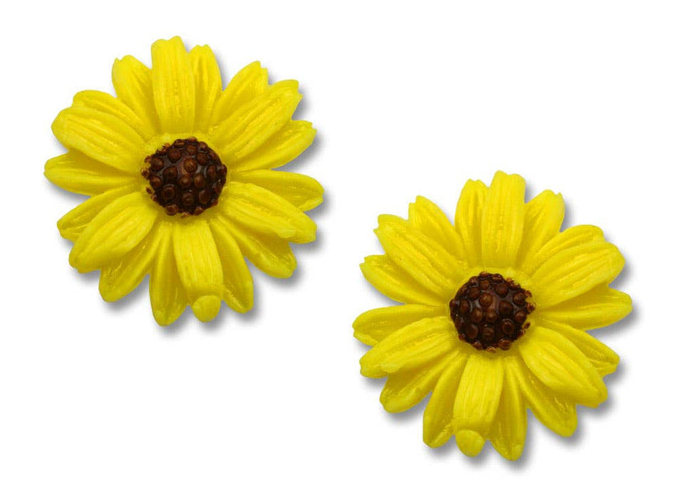 Yellow & Brown Sunflower