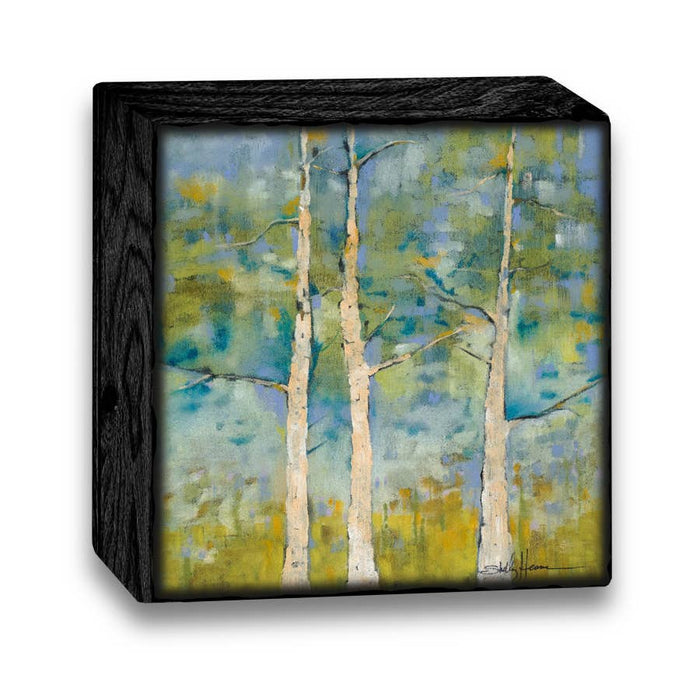 Art Blocks - SH57 - 6x6