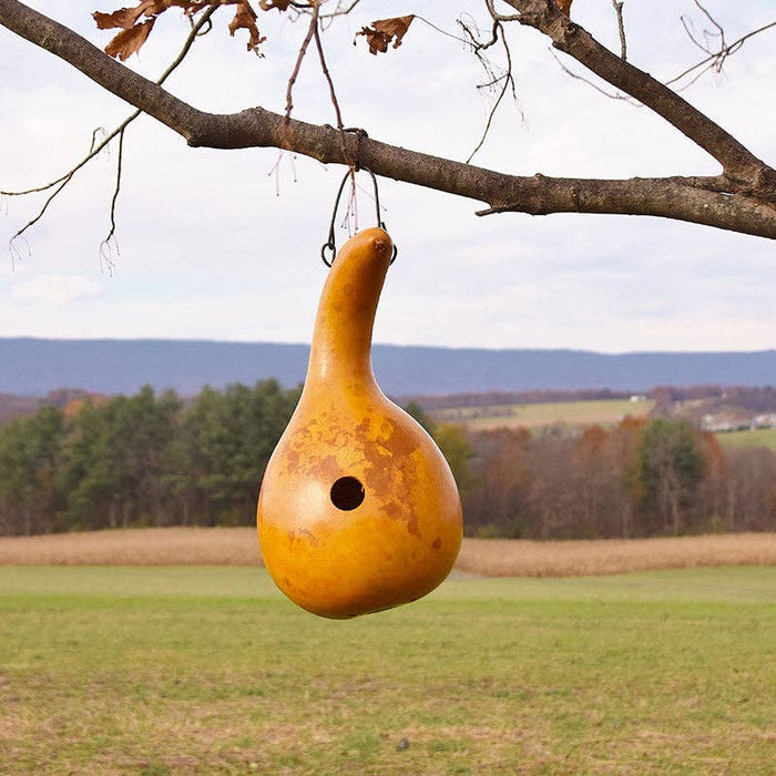 Bird House - Cabin - Yellow - MG