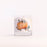 Spiced Pumpkin Holiday Candle - Medium Glass