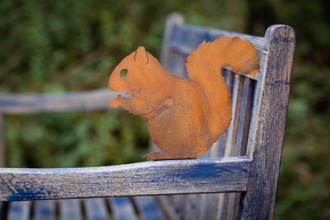 Nibbling Squirrel Tab