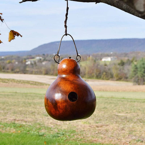 Bird House - Cabin - Walnut - MG