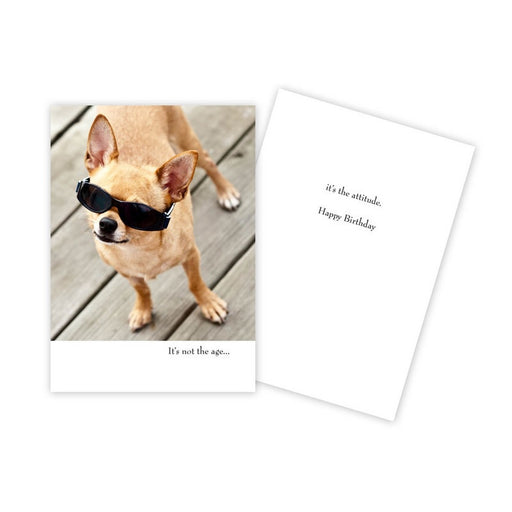 Notecard - Birthday - Dog with Sunglasses - 0059