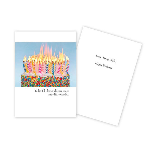 Notecard - Birthday - Candles on Cake - 0083