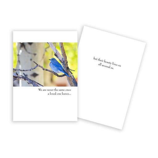 Notecard - Sympathy - Blue Bird on Birch Tree - 0633