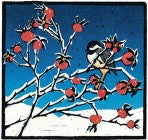 Gift Enclosure Card - Chickadee on Rosehips - 79