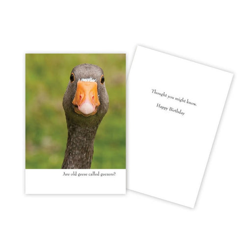 Notecard - Birthday - Goose - 1072