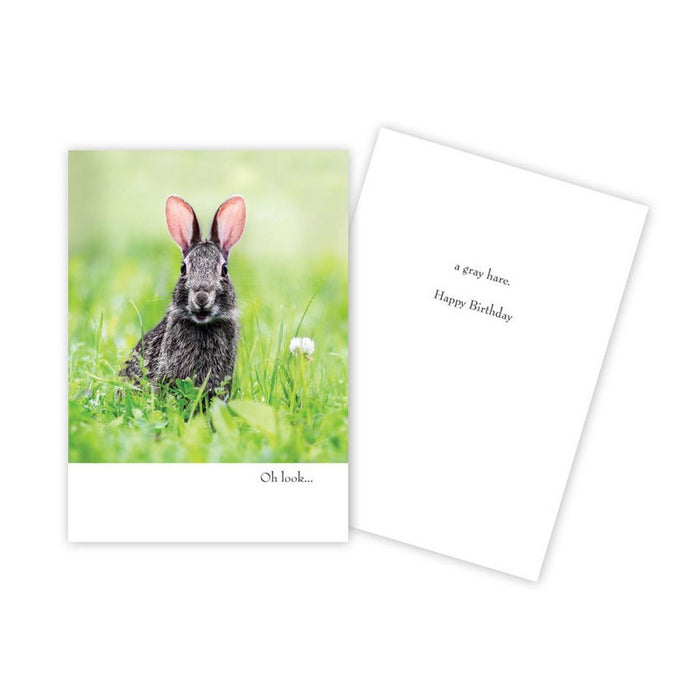 Notecard - Birthday - Bunny - 1081