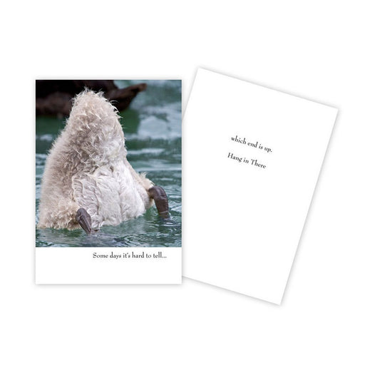 Notecard - Encouragement - Diving Duck - 1504