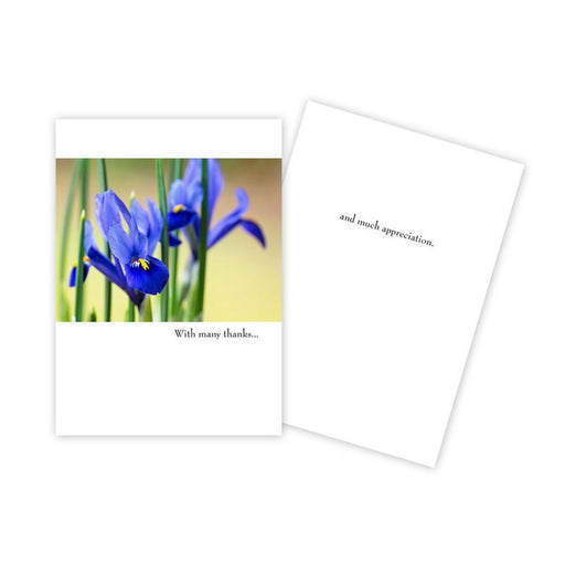 Notecard - Thank You - Blue Flowers - 1527