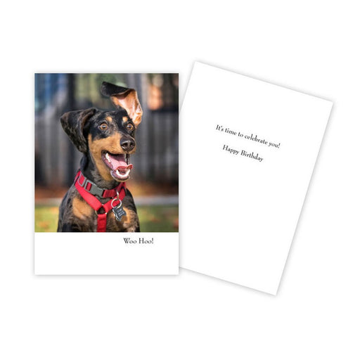 Notecard - Birthday - Barking Dog with Ear in Air - 1754
