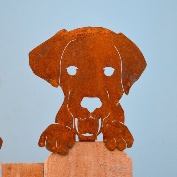 Sculpture - Dog Face - EGD