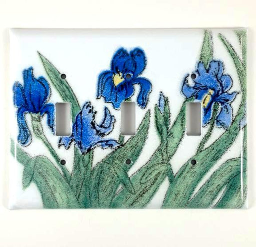 Switch Plate Cover - Triple - Iris Blue