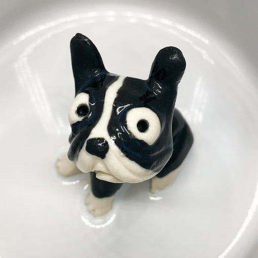 Cheer-Up Cup - Boston Terrier