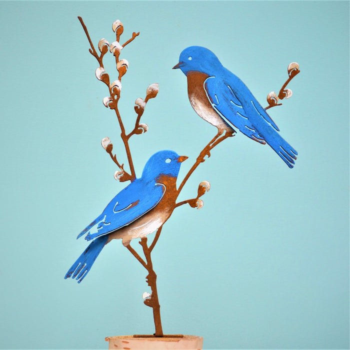 Bluebirds on Pussy Willow