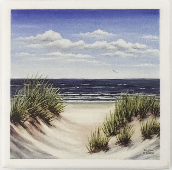 Coaster - Dune Grass