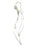 Earrings - Sterling Silver - Sweeping Leaf - F75-ss