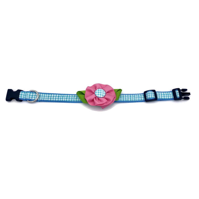 Dog Collar - Aqua - Flower - Small