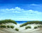 Original - 16x20 - Oil - Ocean View Dunes - 228