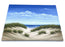 Original - 16x20 - Oil - Ocean View Dunes - 228