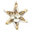 Ornament - Cut Shell Star - White Center - SLS