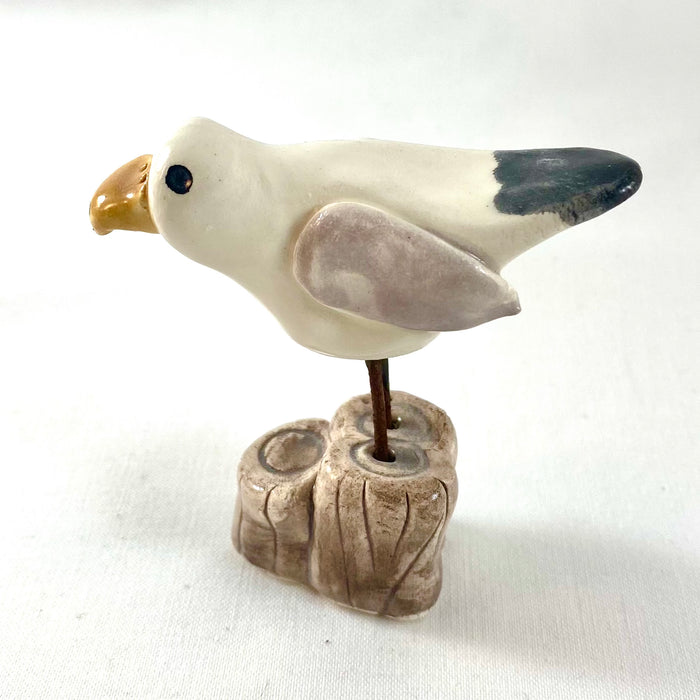 Seagull - Medium