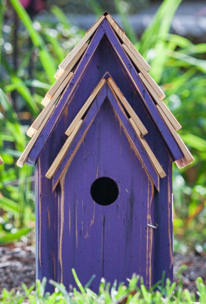 Bird House - Bluebird Bright - Purple