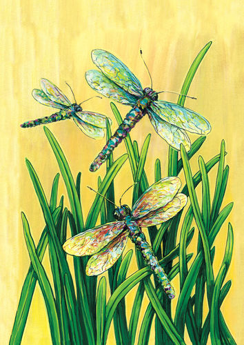 House Flag - Dragonflies in Flight  - 101402