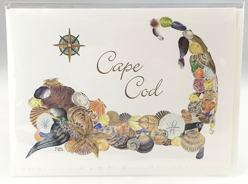 Notecard - Cape Cod Shells - White